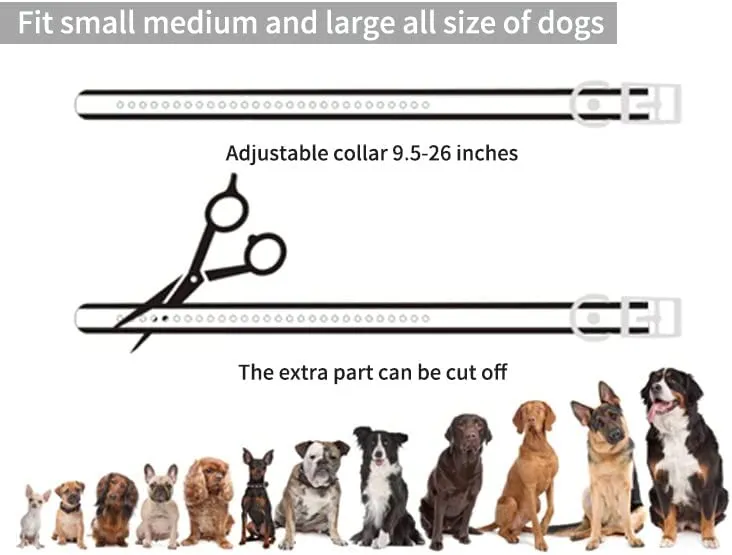 Citronella Deluxe Spray Stop Barking Collar with Remote, Dog Training Collar
