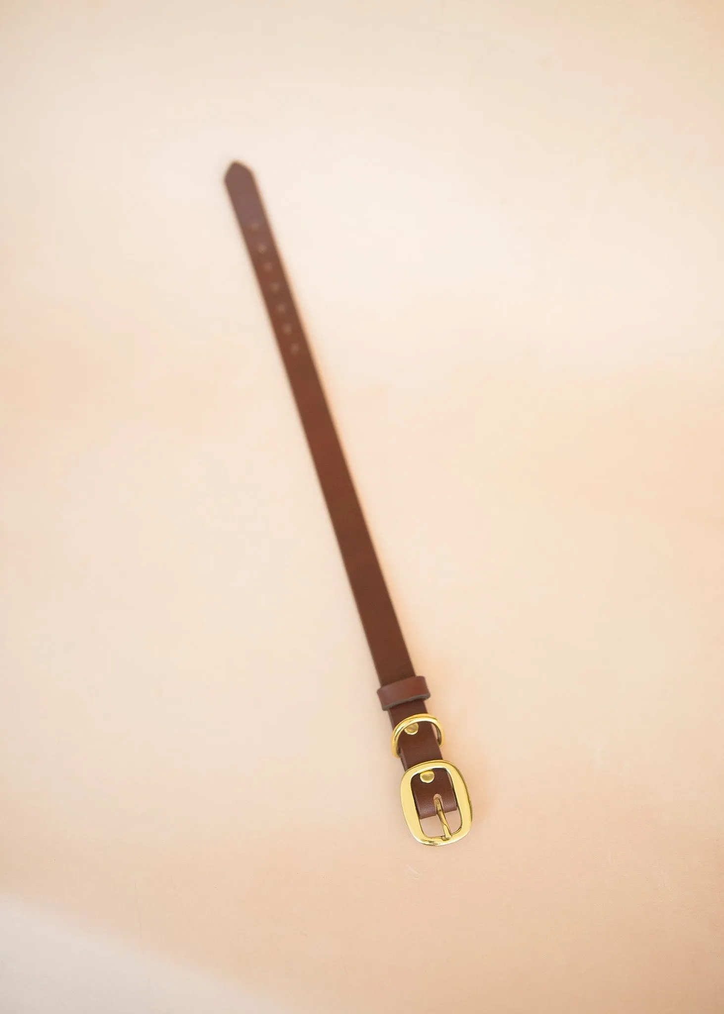 Classic Dog Collar - 25mm - Burgundy