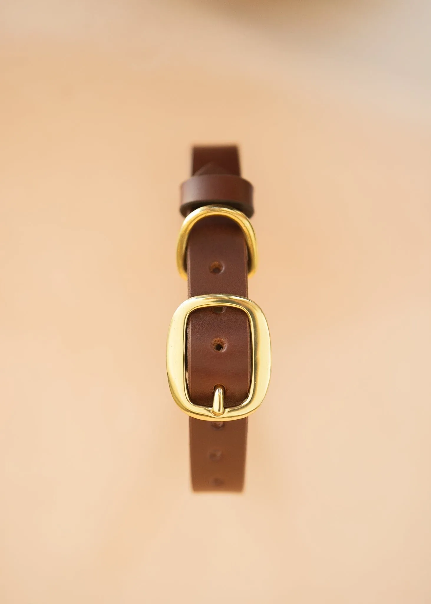 Classic Dog Collar - 25mm - Burgundy