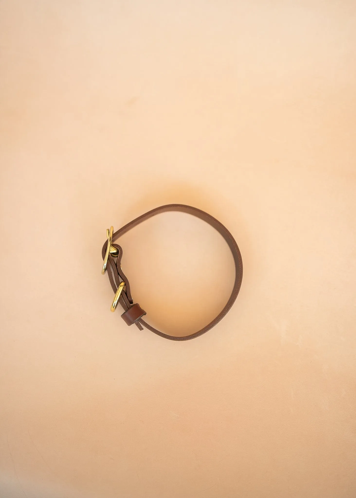 Classic Dog Collar - 25mm - Burgundy