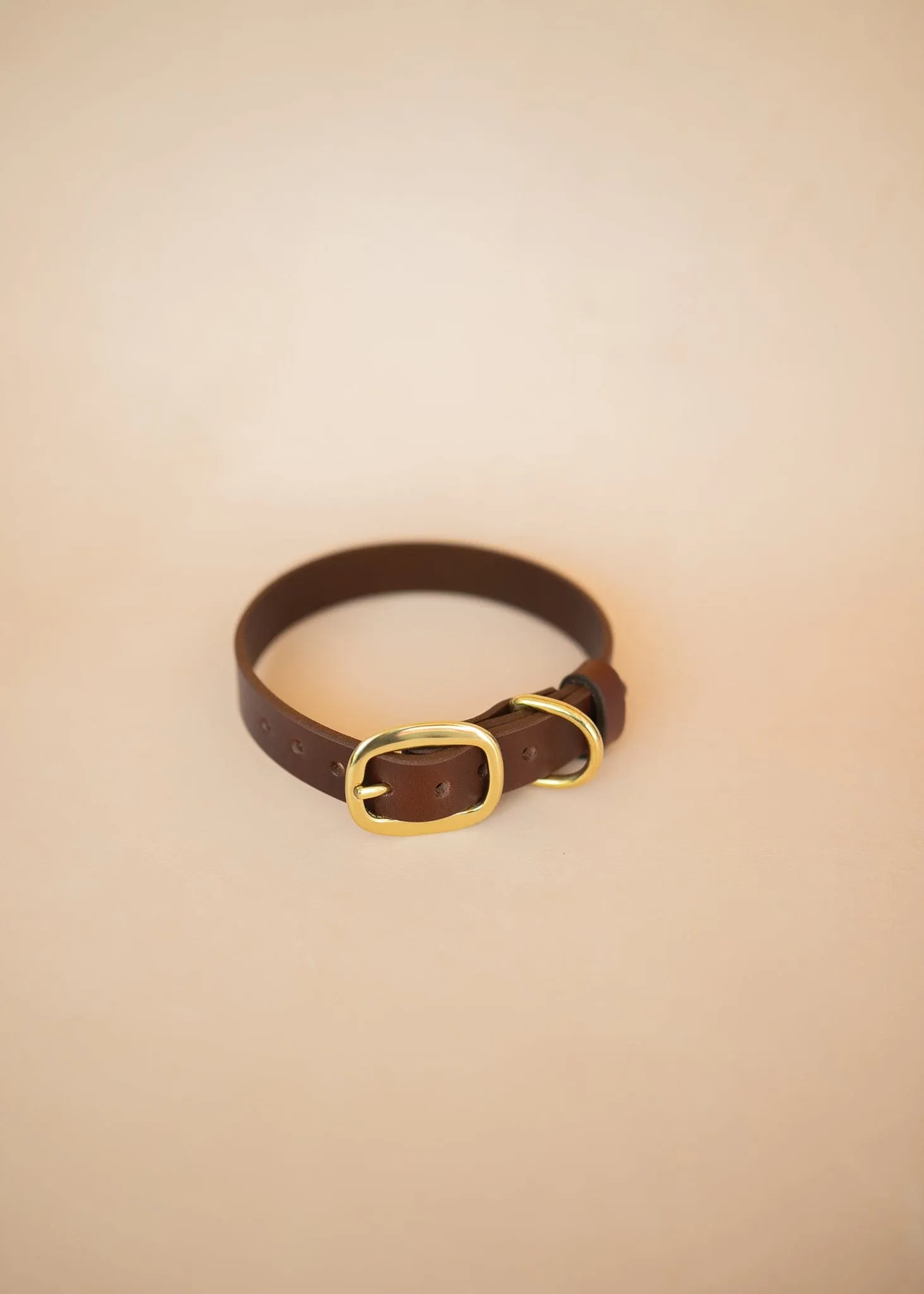 Classic Dog Collar - 25mm - Burgundy