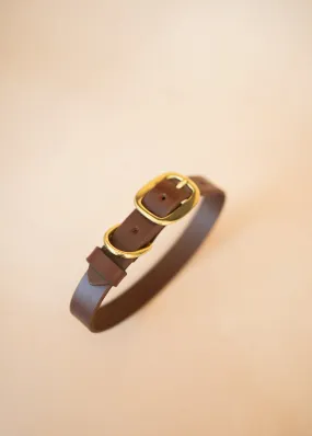Classic Dog Collar - 25mm - Burgundy