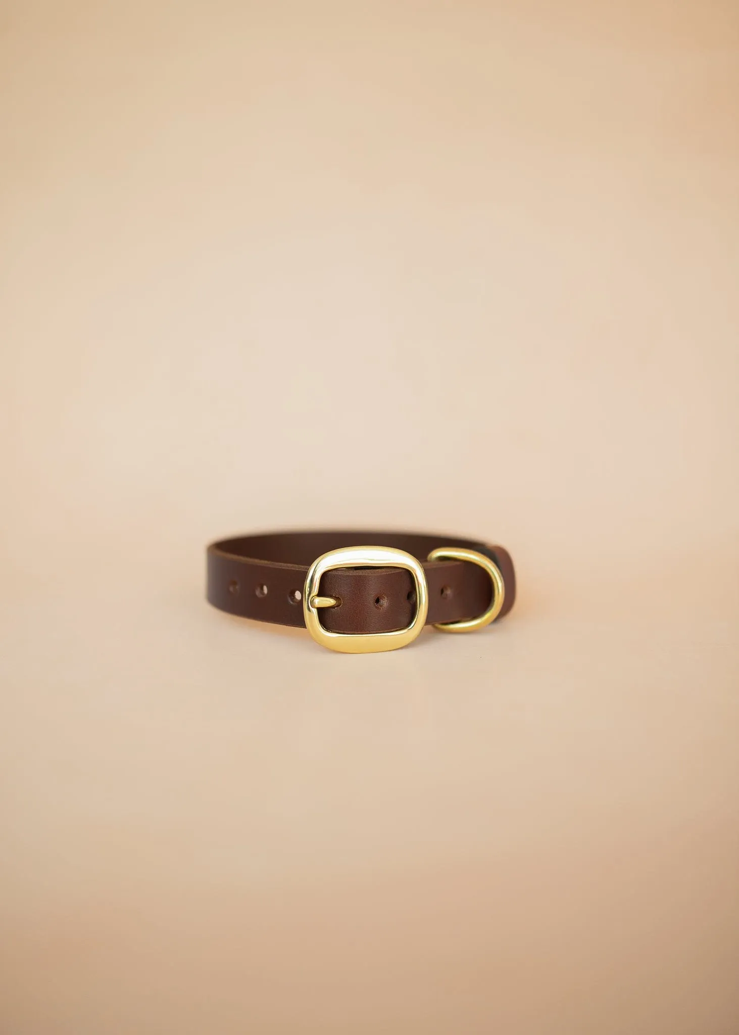 Classic Dog Collar - 25mm - Burgundy