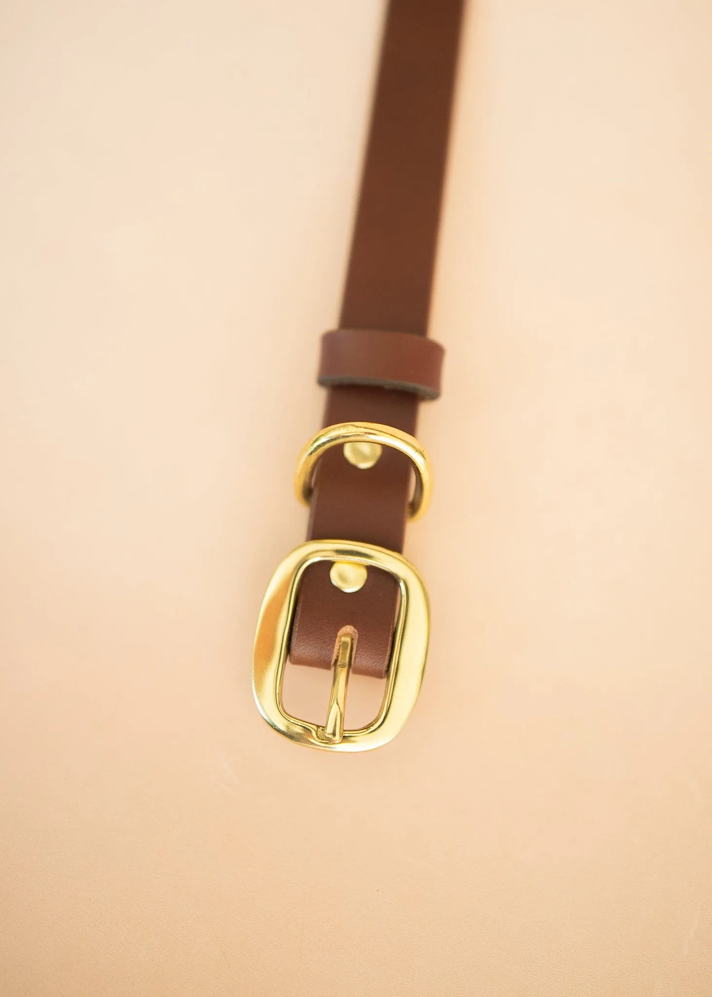Classic Dog Collar - 25mm - Burgundy