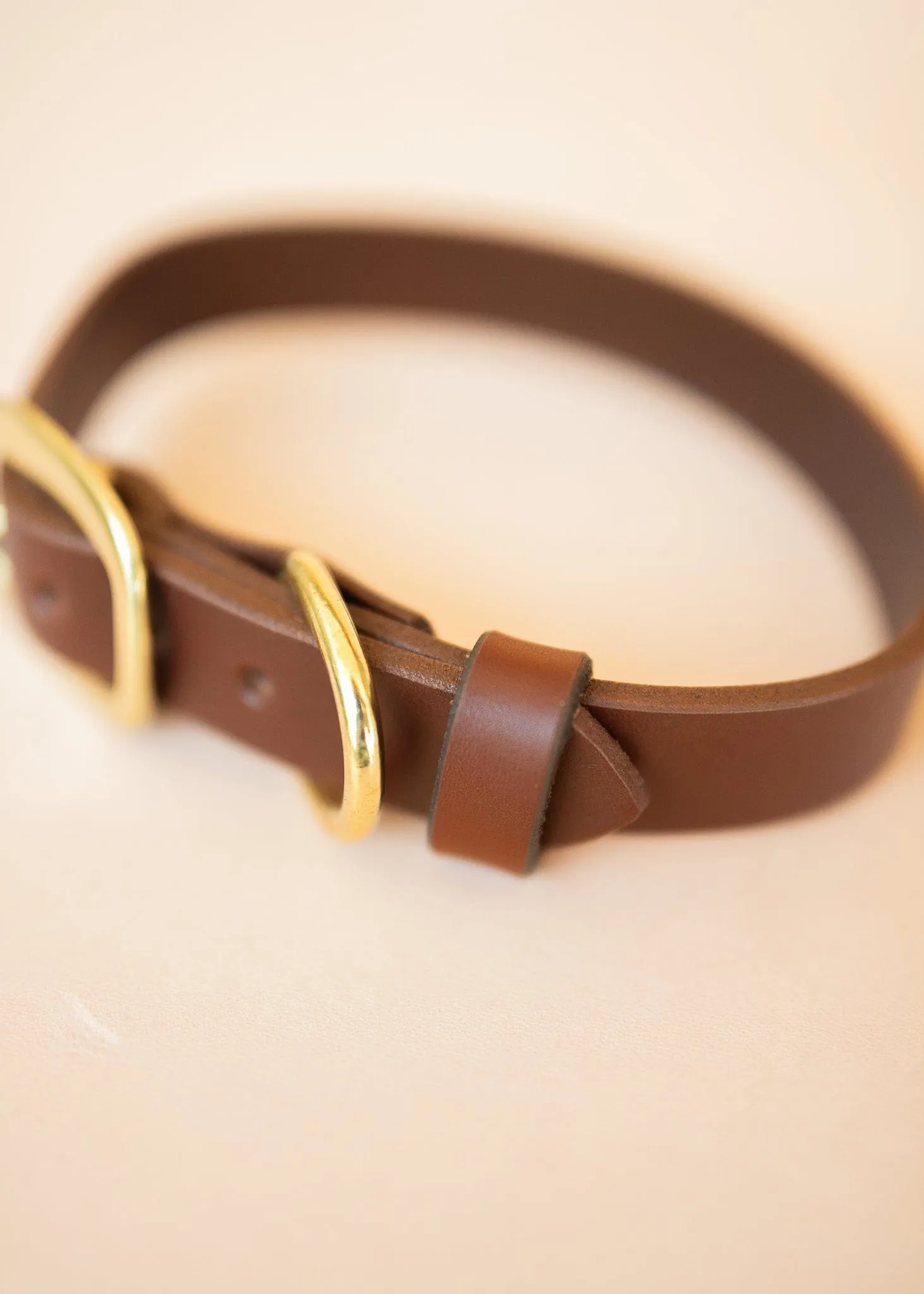Classic Dog Collar - 25mm - Burgundy