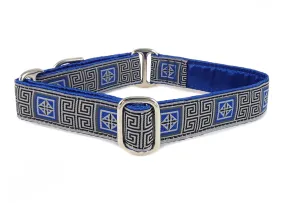 Corinth - Martingale or Buckle Dog Collar - 1" Width