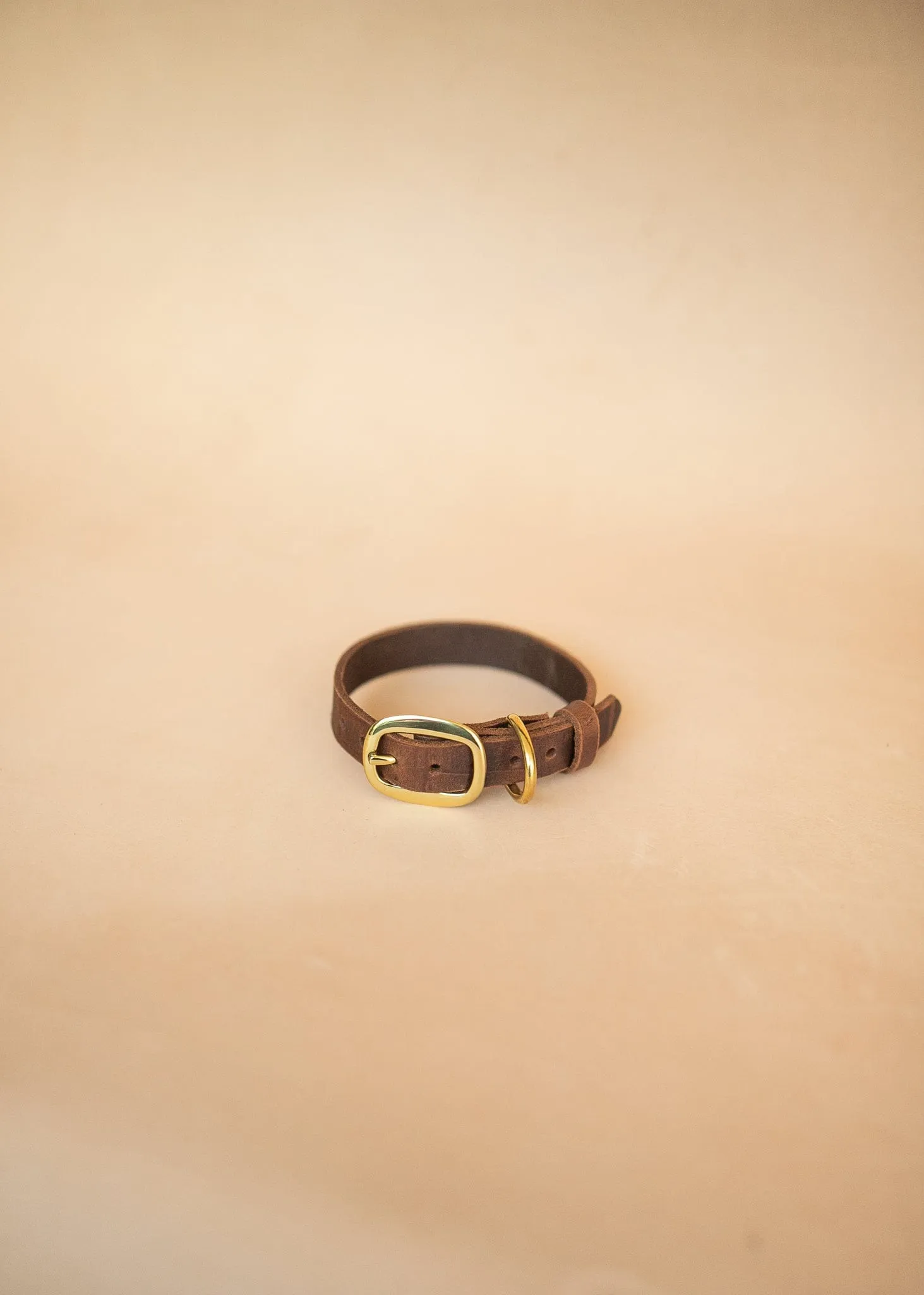 Dog Collar - Croc Print - 25mm - Vintage Brown