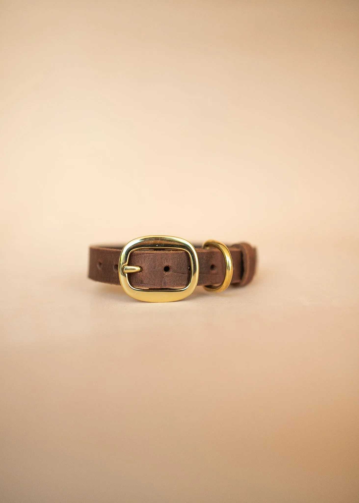 Dog Collar - Croc Print - 25mm - Vintage Brown