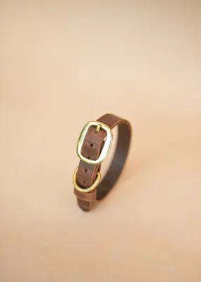Dog Collar - Croc Print - 25mm - Vintage Brown