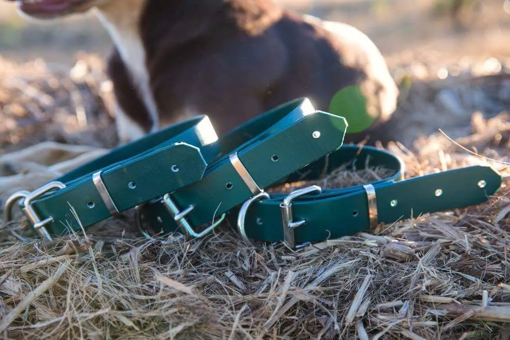 Dog Collar PVC 32mm x 70cm - Green