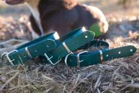 Dog Collar PVC 32mm x 70cm - Green
