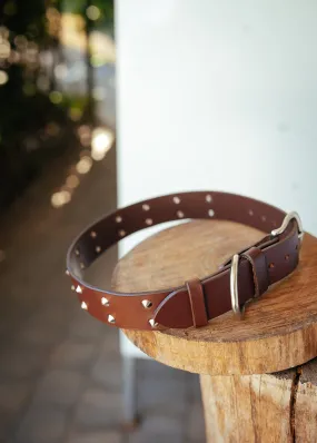 Double Studded Dog Collar - 38mm - Burgundy