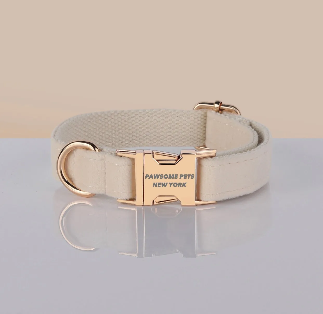PAWSOME DOG COLLAR - #24