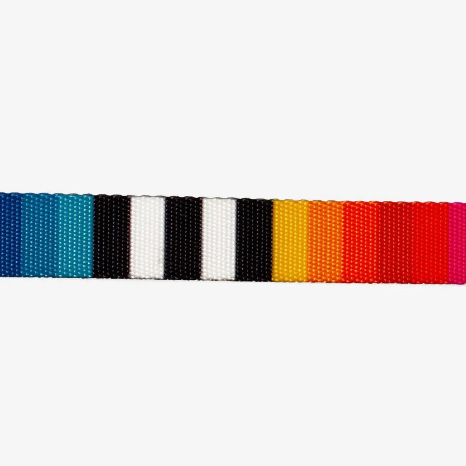 Prisma Dog Collar