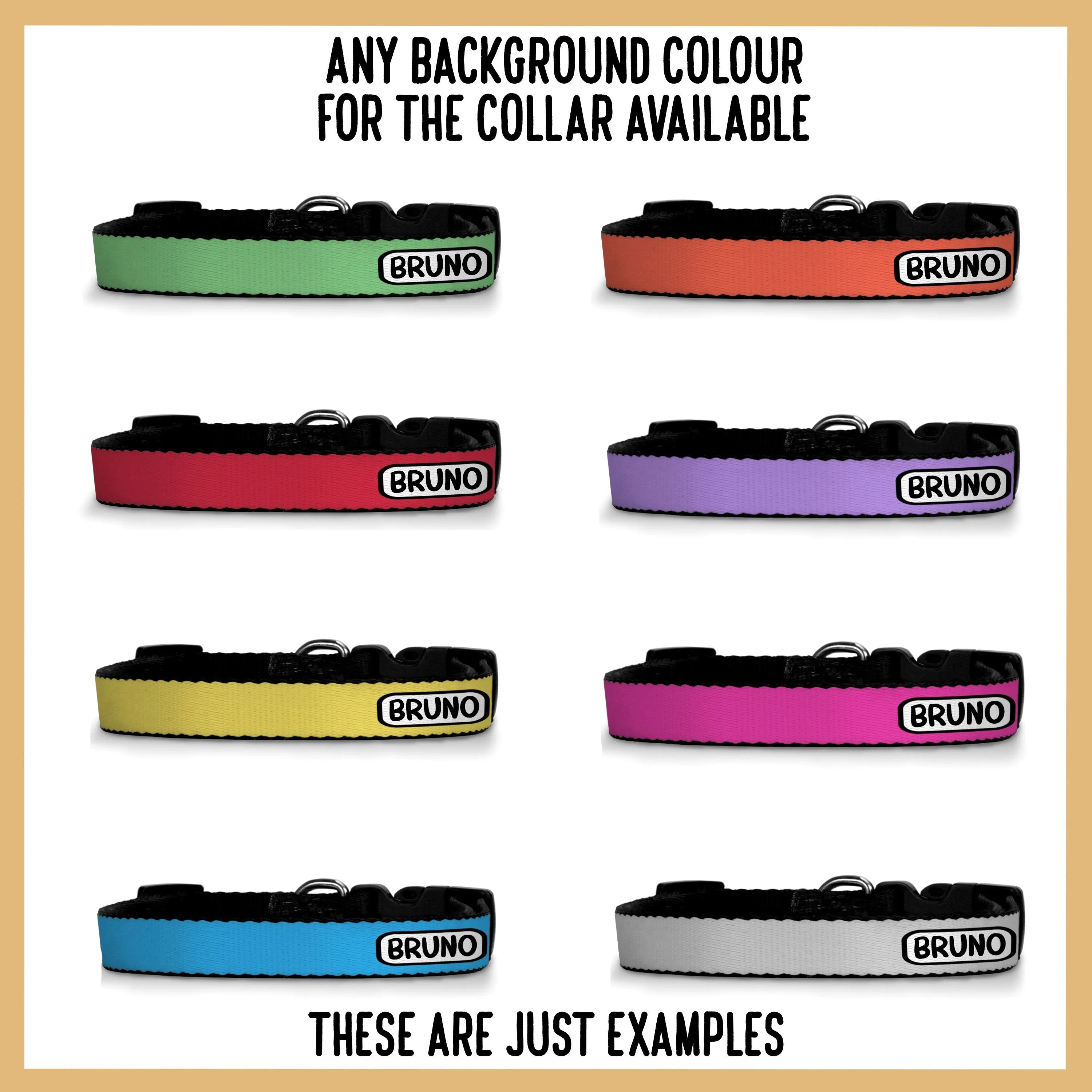 Show Coker Spaniel Collar