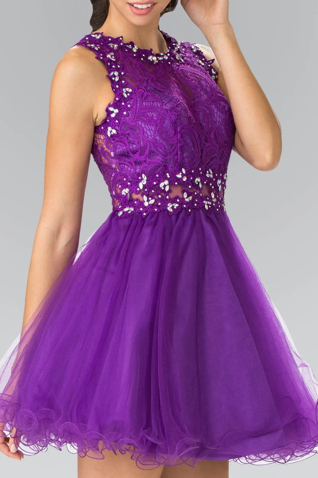 Sleeveless Short Dress with Lace Bodice and Sheer Waistline